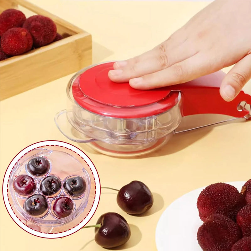 Easy Cherry Stone Remover Tool