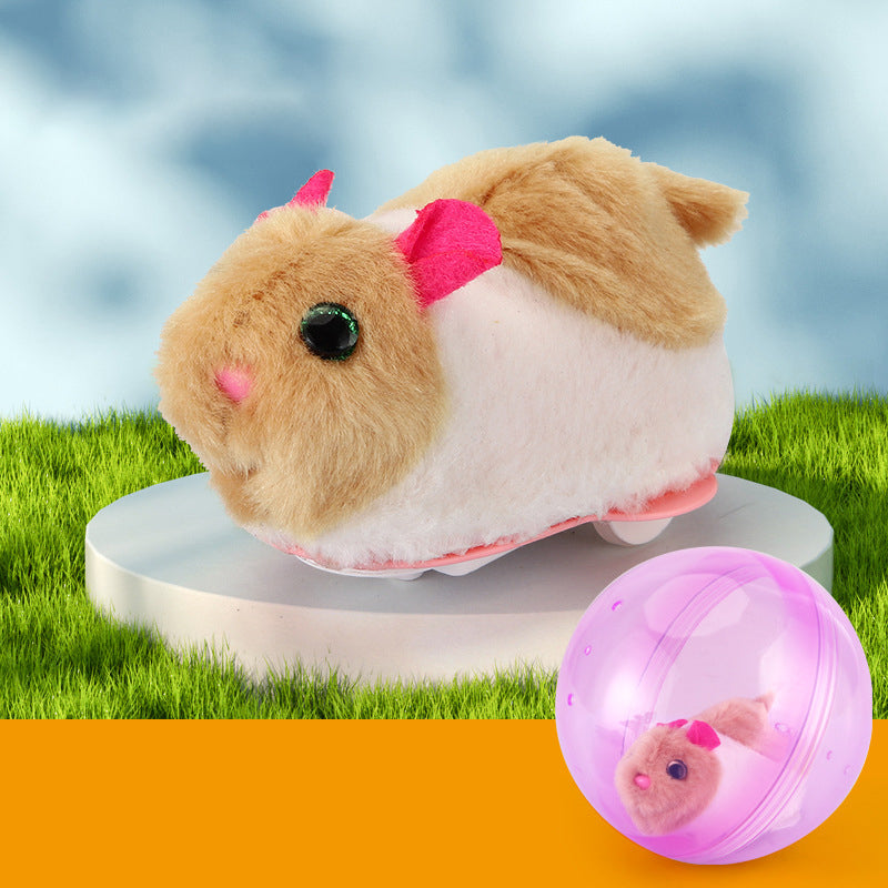 Fun Pet Exercise Ball Toy
