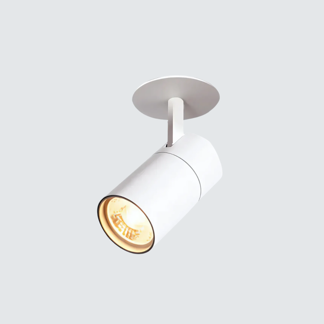 Contemporary Dimmable Ceiling Light