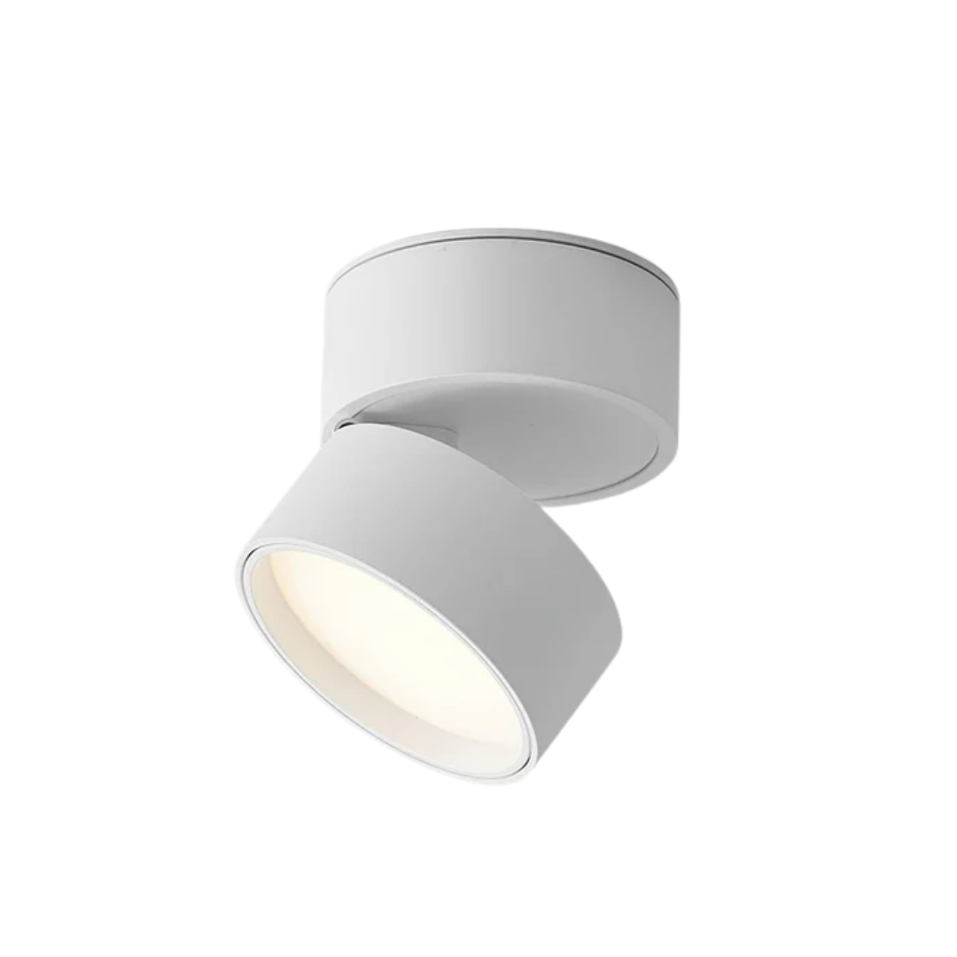 Dimmable Modern Overhead LED Lamp