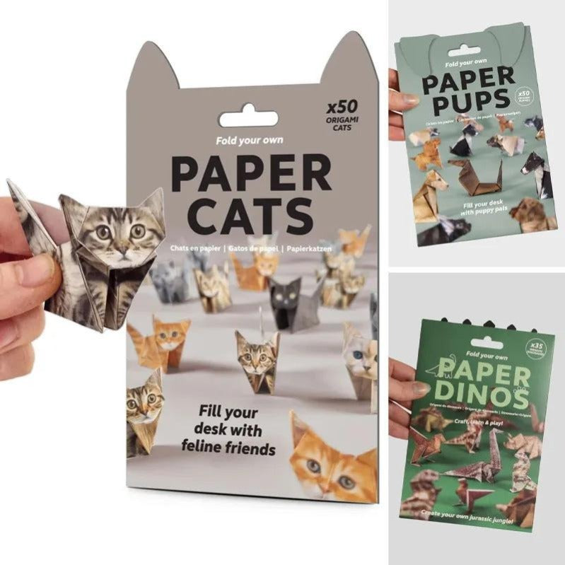 Fun Cat Paper Folding Kit