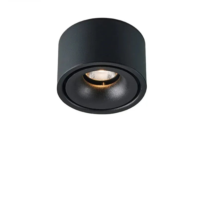 Anti-glare LED Downlight Ceiling Lamp
