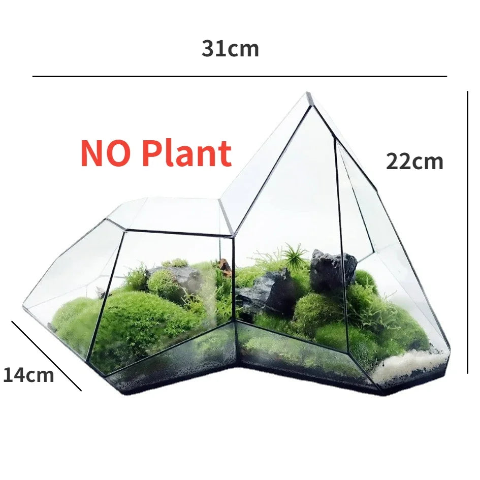 Mini Glass Succulent Terrarium Planter Vase