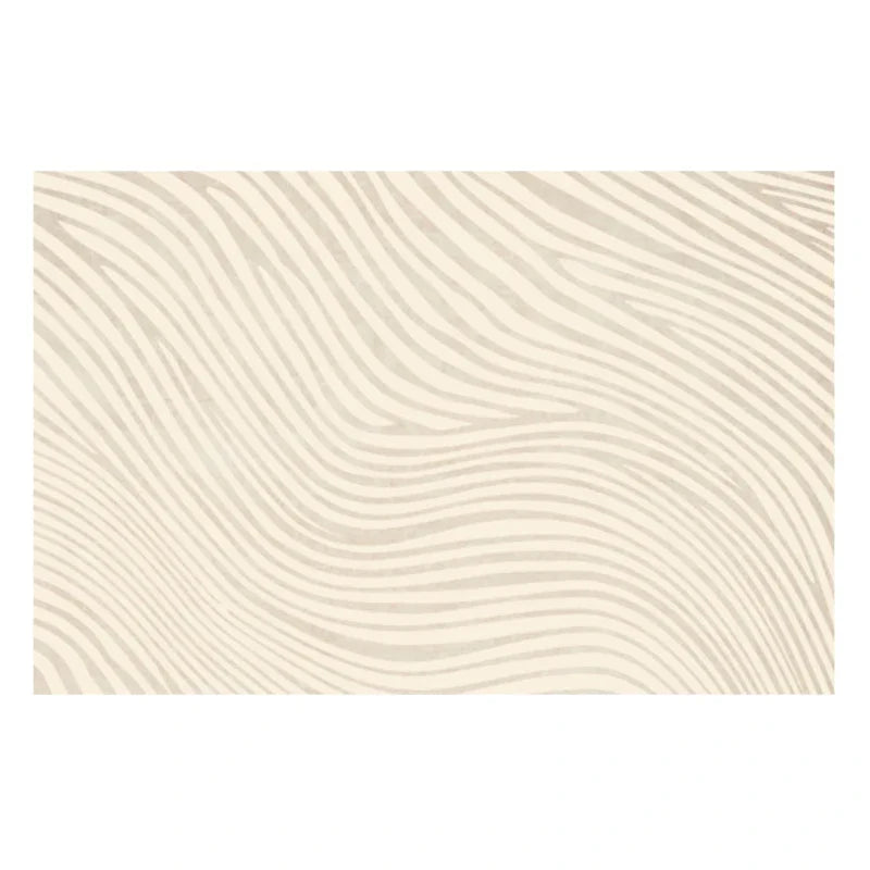 Plush Japanese Shag Rug for Bedroom and Living Room