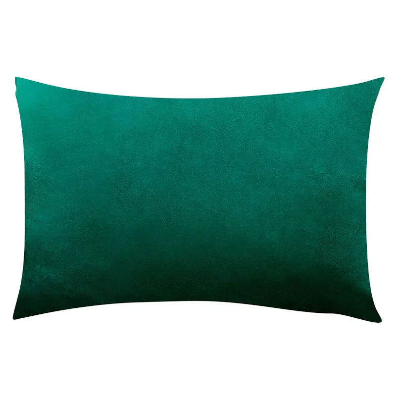 Soft Velvet Pillow in Bright Pastel Shades