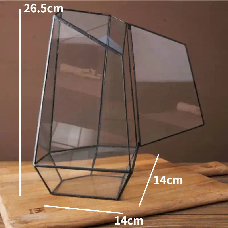 Mini Indoor Glass Plant Terrarium