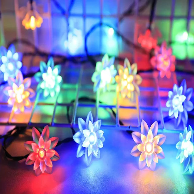 Pastel Pink String Lights