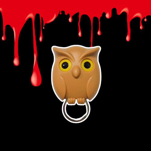 Fun Owl Key Organizer