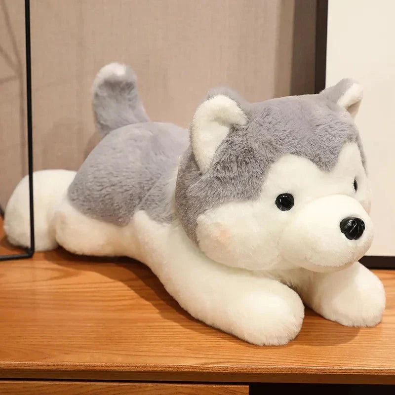 Cute Husky Teddy Plush Toy