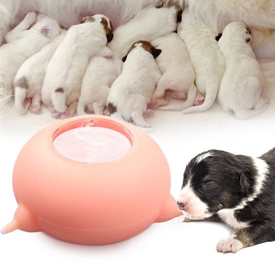 Portable Pet Milk Feeding Bowl - Puppies Nursing Station for New Born Pets - Yeezlab
