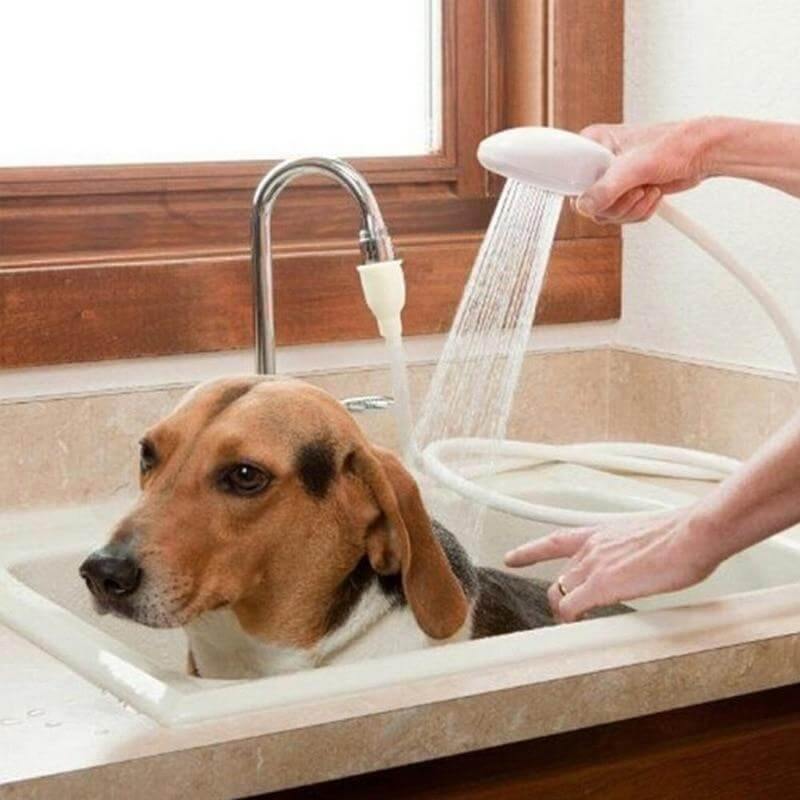 Flexible Shower Head with Long Hose and Spray Nozzle