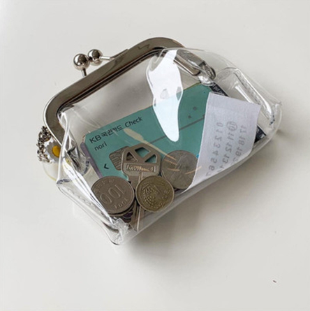 Clear Simple Metal Clutch Bag - Yeezlab