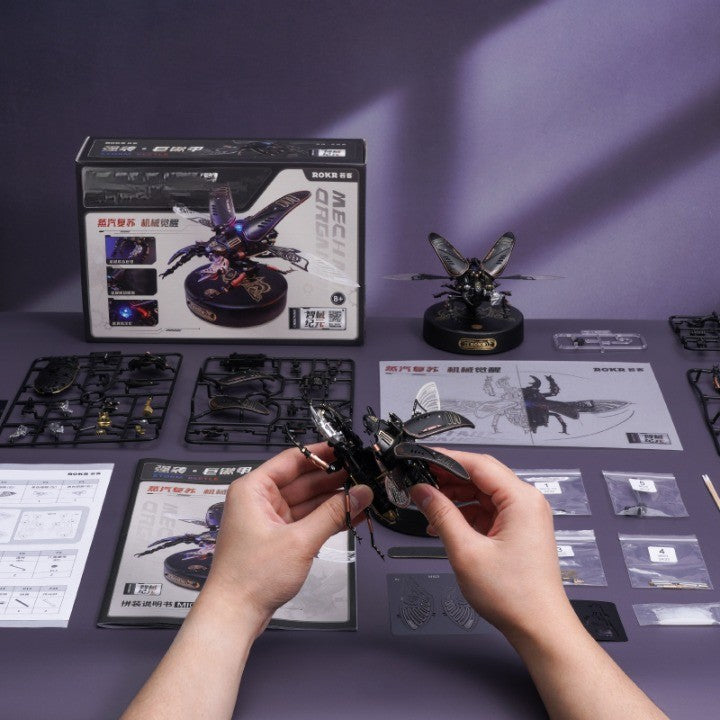 Cool 3D Robot Beetle Kit