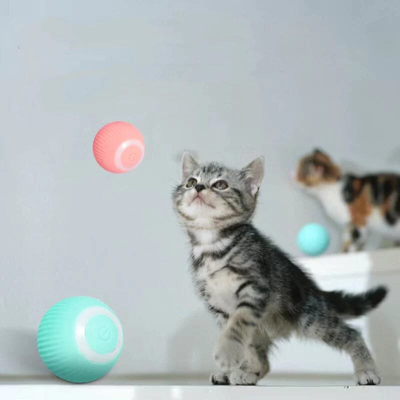 Automatic Interactive Pet Ball Toy