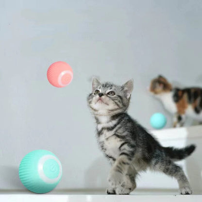 Automatic Interactive Pet Ball Toy