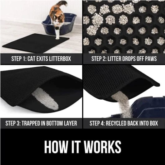 Odor Free Cat Litter Box Solution