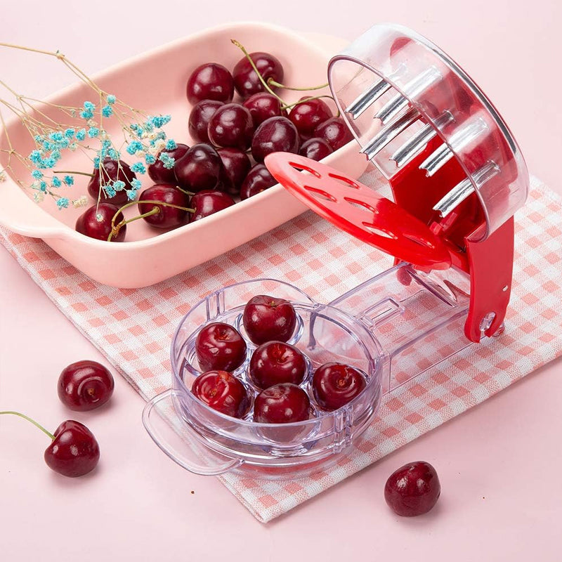 Easy Cherry Stone Remover Tool