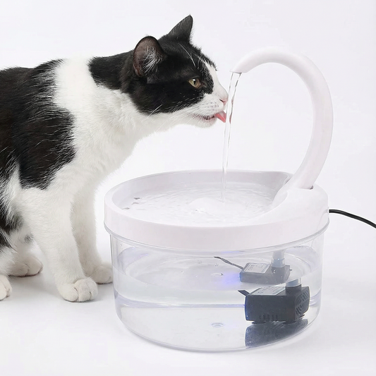 Automatic cat drinking water fountain with filtration system