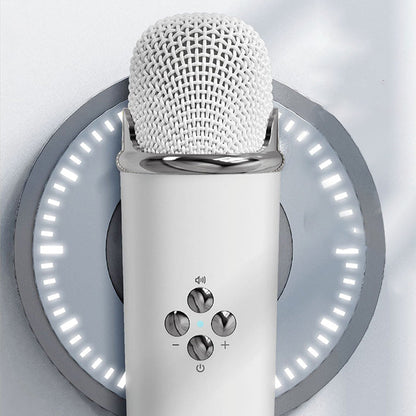Portable Karaoke System & Wireless Bluetooth Speaker