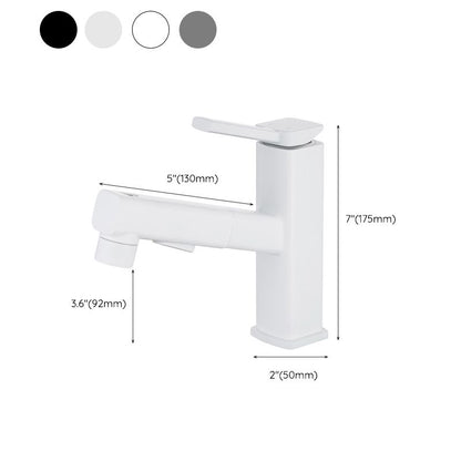Single Handle Pull-Out Kitchen Sink Faucet with Rotating Spout