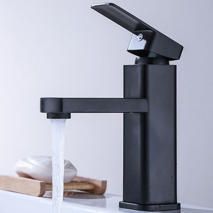 Commercial Stainless Steel Bathroom Faucet with Long Hose