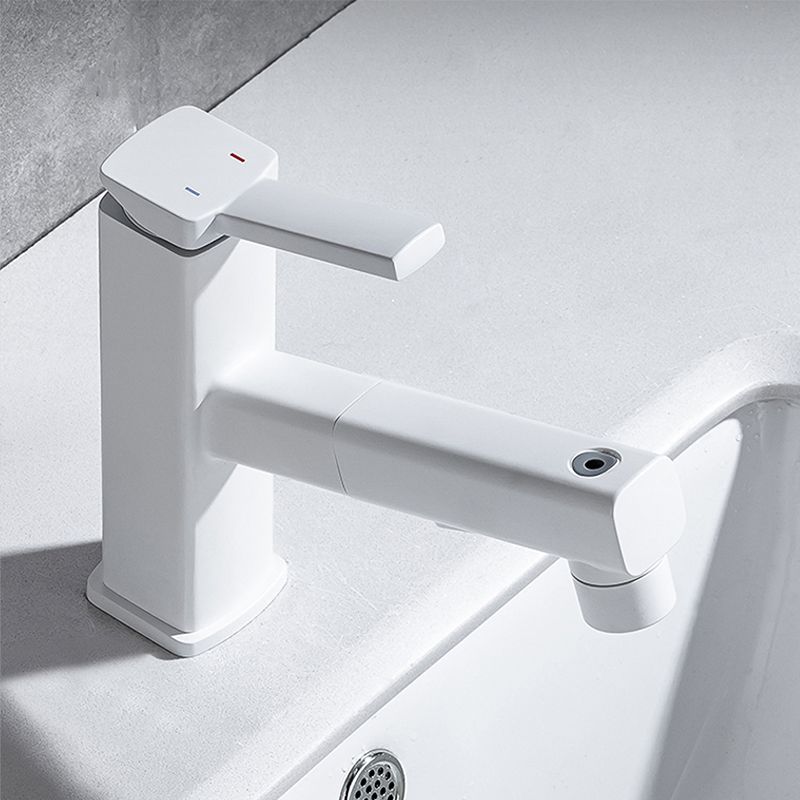 Single Handle Pull-Out Kitchen Sink Faucet with Rotating Spout