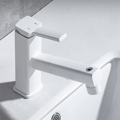 Single Handle Pull-Out Kitchen Sink Faucet with Rotating Spout