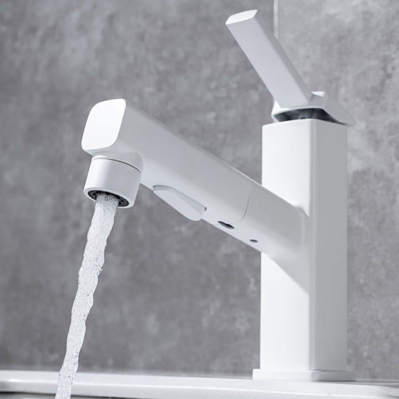 Single Handle Pull-Out Kitchen Sink Faucet with Rotating Spout