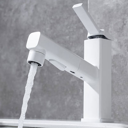 Single Handle Pull-Out Kitchen Sink Faucet with Rotating Spout