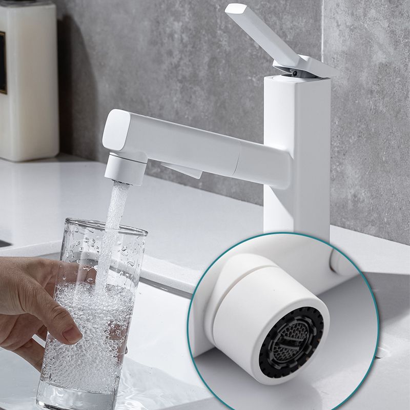 Single Handle Pull-Out Kitchen Sink Faucet with Rotating Spout