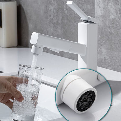 Single Handle Pull-Out Kitchen Sink Faucet with Rotating Spout