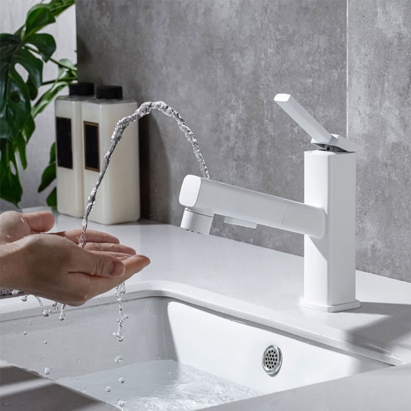 Single Handle Pull-Out Kitchen Sink Faucet with Rotating Spout
