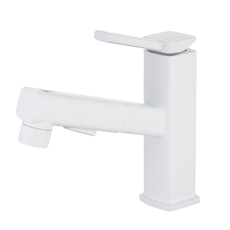 Single Handle Pull-Out Kitchen Sink Faucet with Rotating Spout