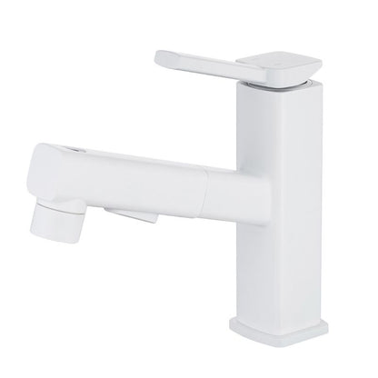 Single Handle Pull-Out Kitchen Sink Faucet with Rotating Spout