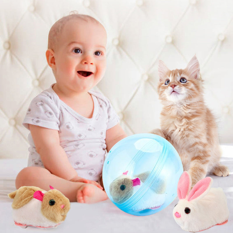 Fun Pet Exercise Ball Toy