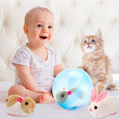 Fun Pet Exercise Ball Toy