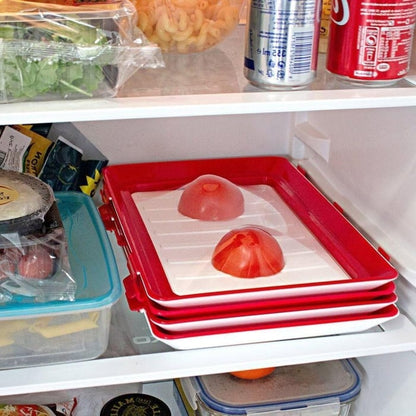 Fresh Food Saver Container