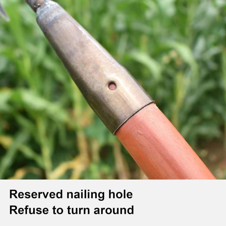 Heavy Duty Metal Yard Rake with Strong Garden Tines