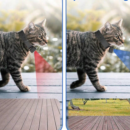 Wireless Pet Cam with 1080P HD Video and Night Vision