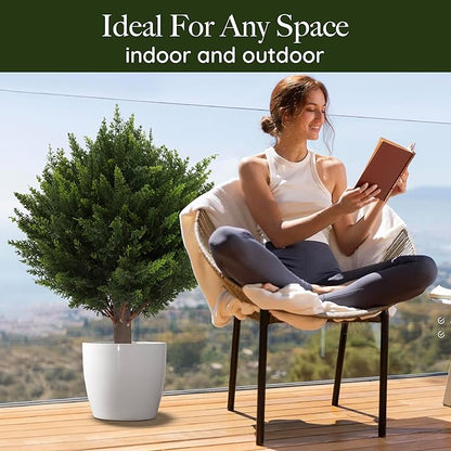 Fresh Cedar Room Air Freshener Spray