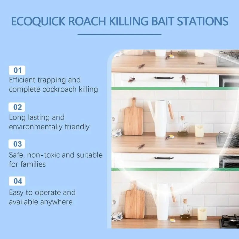 Effective Natural Roach Trap with Long Lasting Results