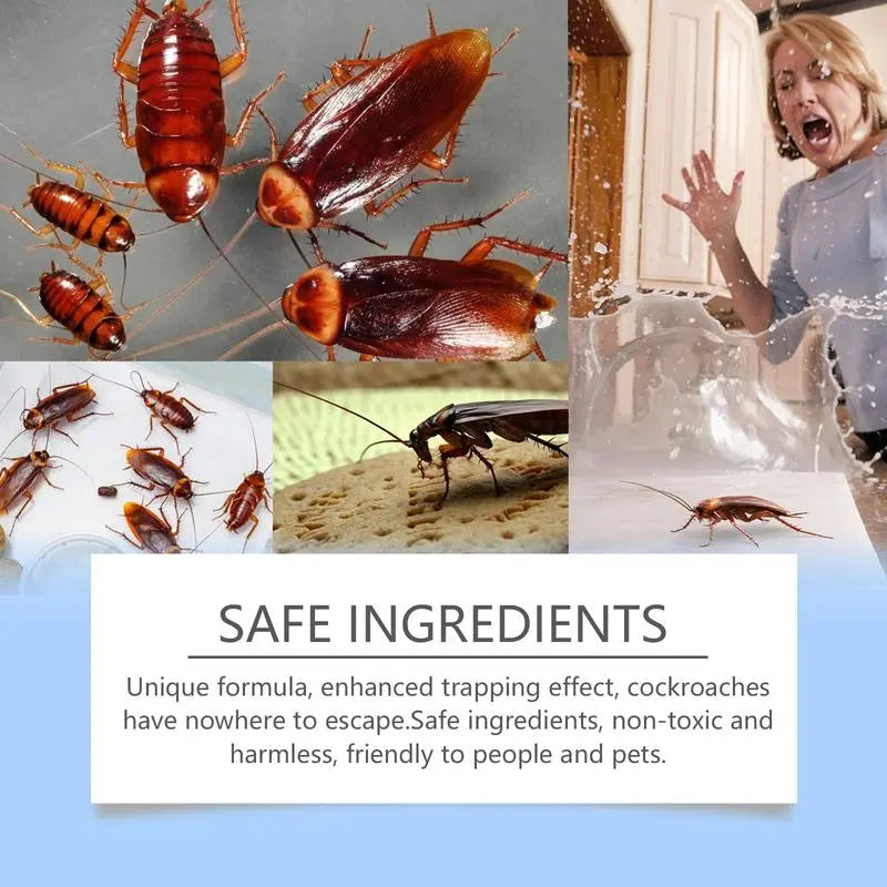Effective Natural Roach Trap with Long Lasting Results