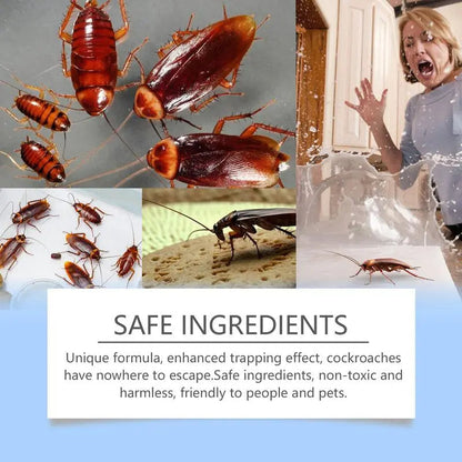 Effective Natural Roach Trap with Long Lasting Results