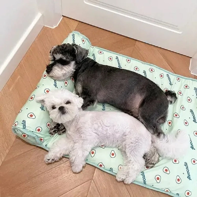 Pet Cooling Orthopedic Bed
