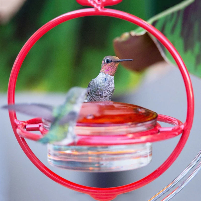 Stylish Bird Shaped Metal Water Dispenser