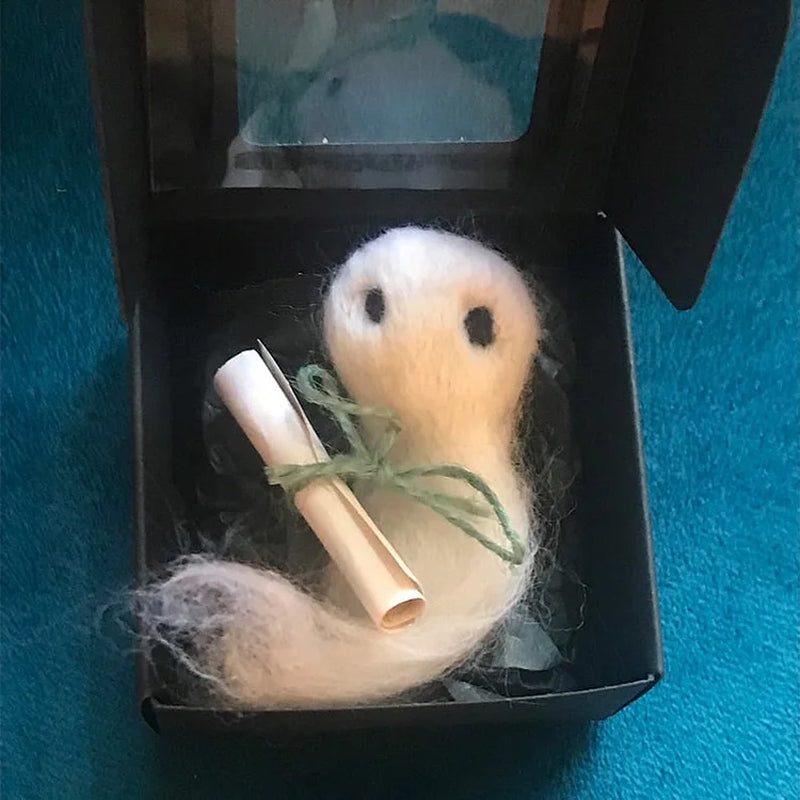Mystery Ghost Adoption Kit