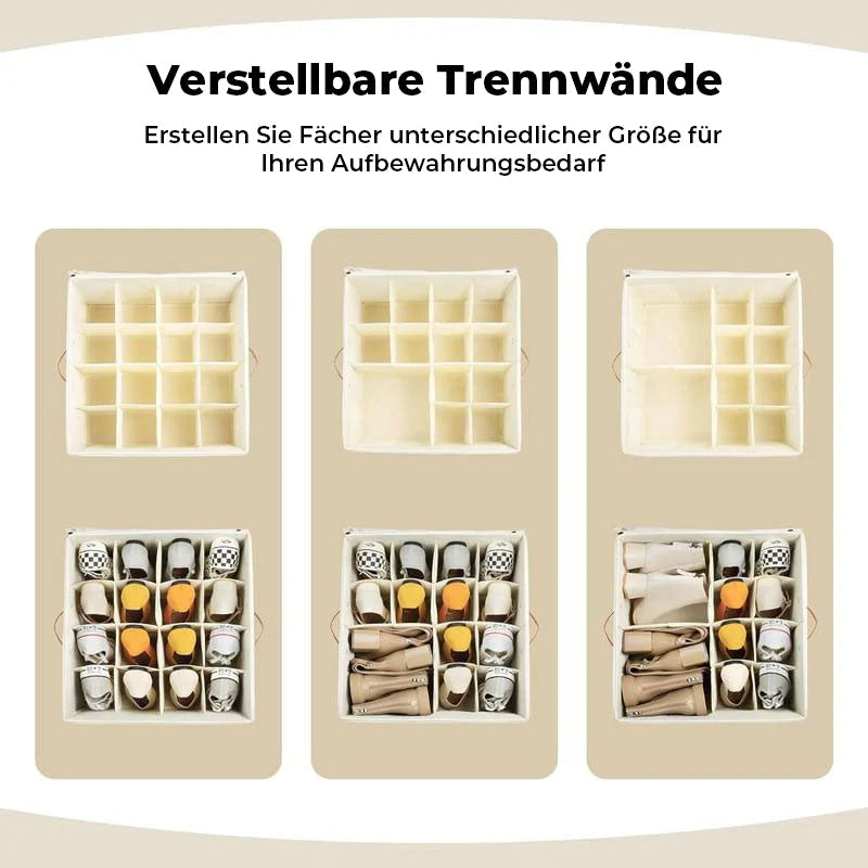 Foldable Clear Top Shoe Storage Box