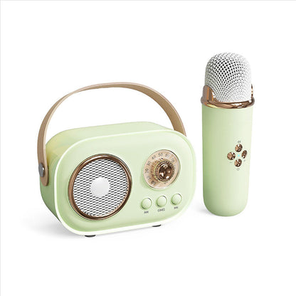Portable Karaoke System & Wireless Bluetooth Speaker