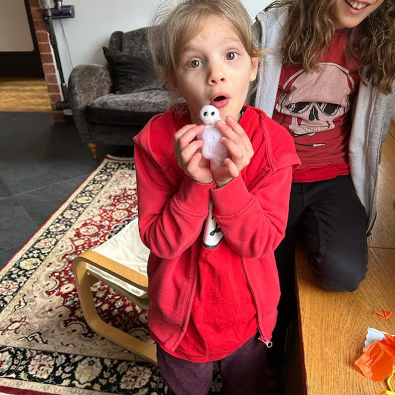 Mystery Ghost Adoption Kit