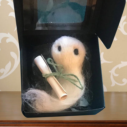 Mystery Ghost Adoption Kit